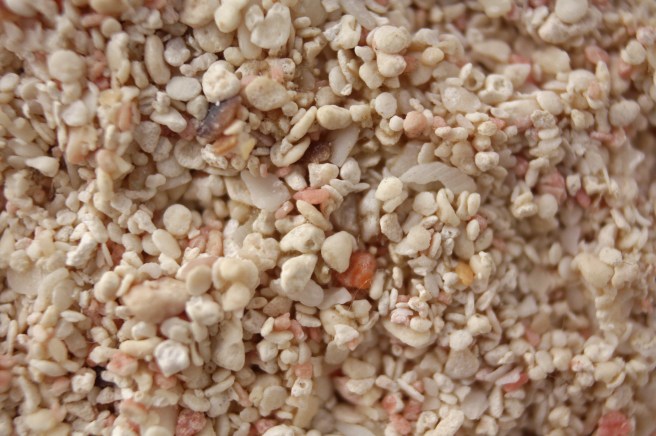 Closeup Southampton Fmn.jpg