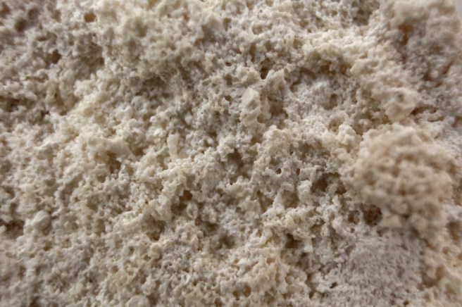 Closeup Town Hill Fmn.jpg