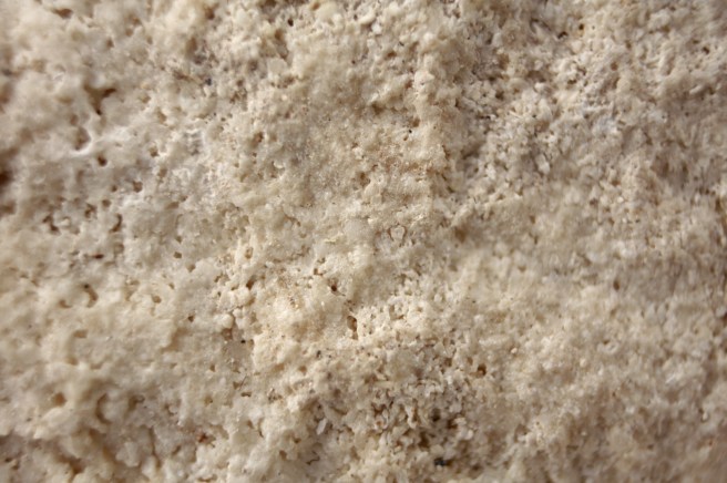 Closeup Walsingham Fmn.jpg