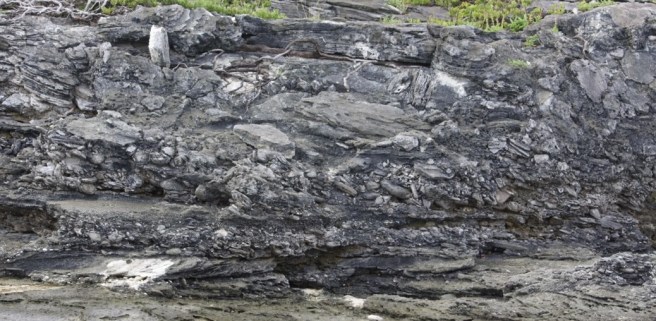 Long Island Conglomerate