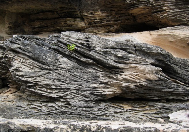 Spittal pond ripples