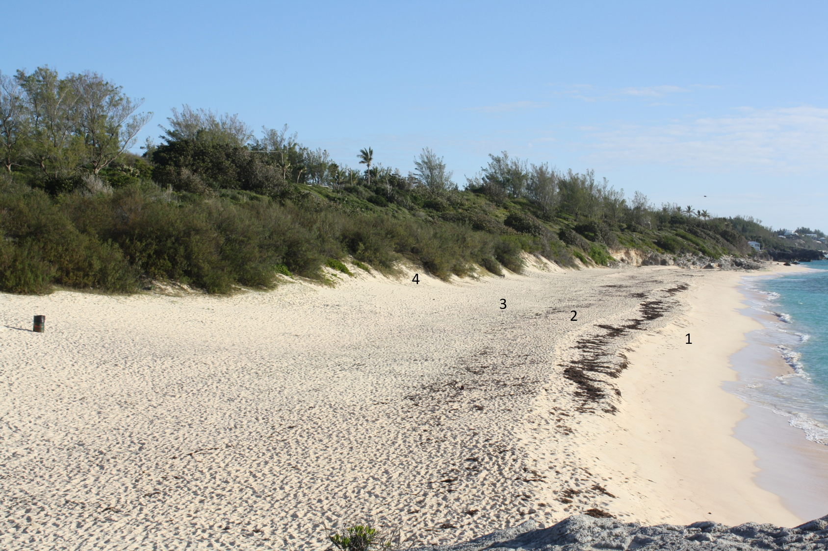 Warwick Long Bay annotated.png