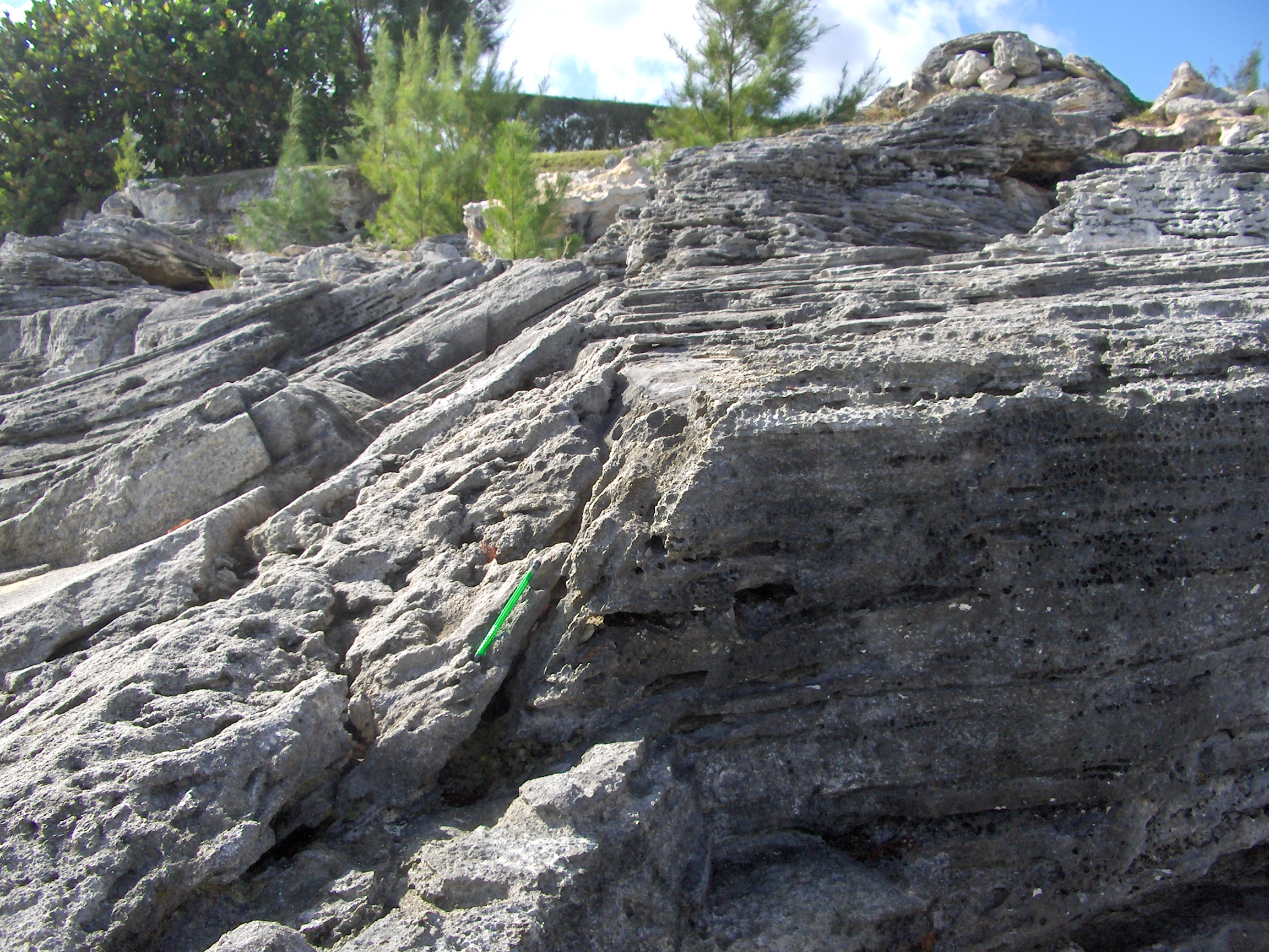 Ancient beach scarp in Bermuda